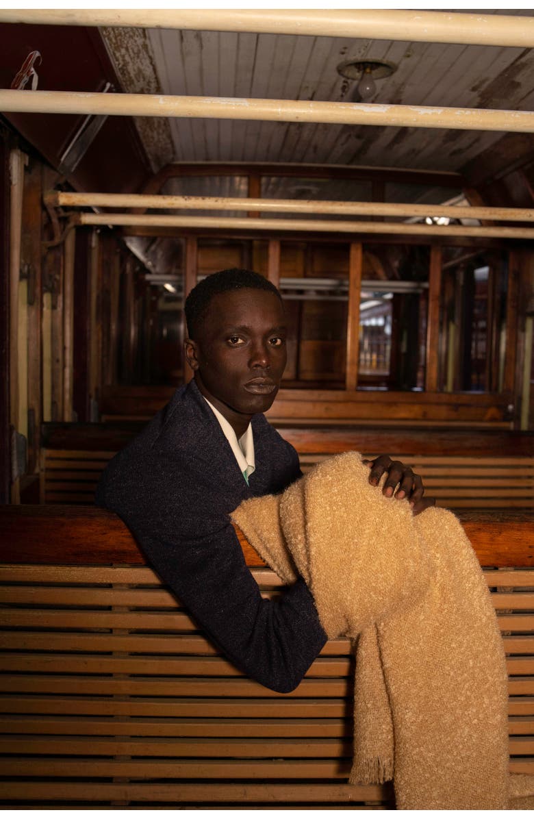 Evangeline Mohair Bouclé Throws, Alternate, color, Bouclé Inkwell