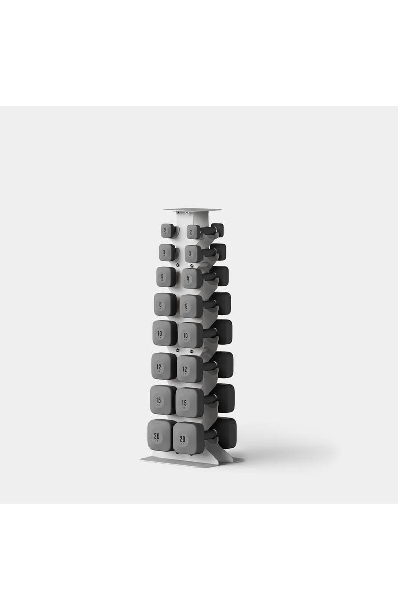 WeGym ProGrip Dumbbells Lower Set with Light Rack, Main, color, Slate