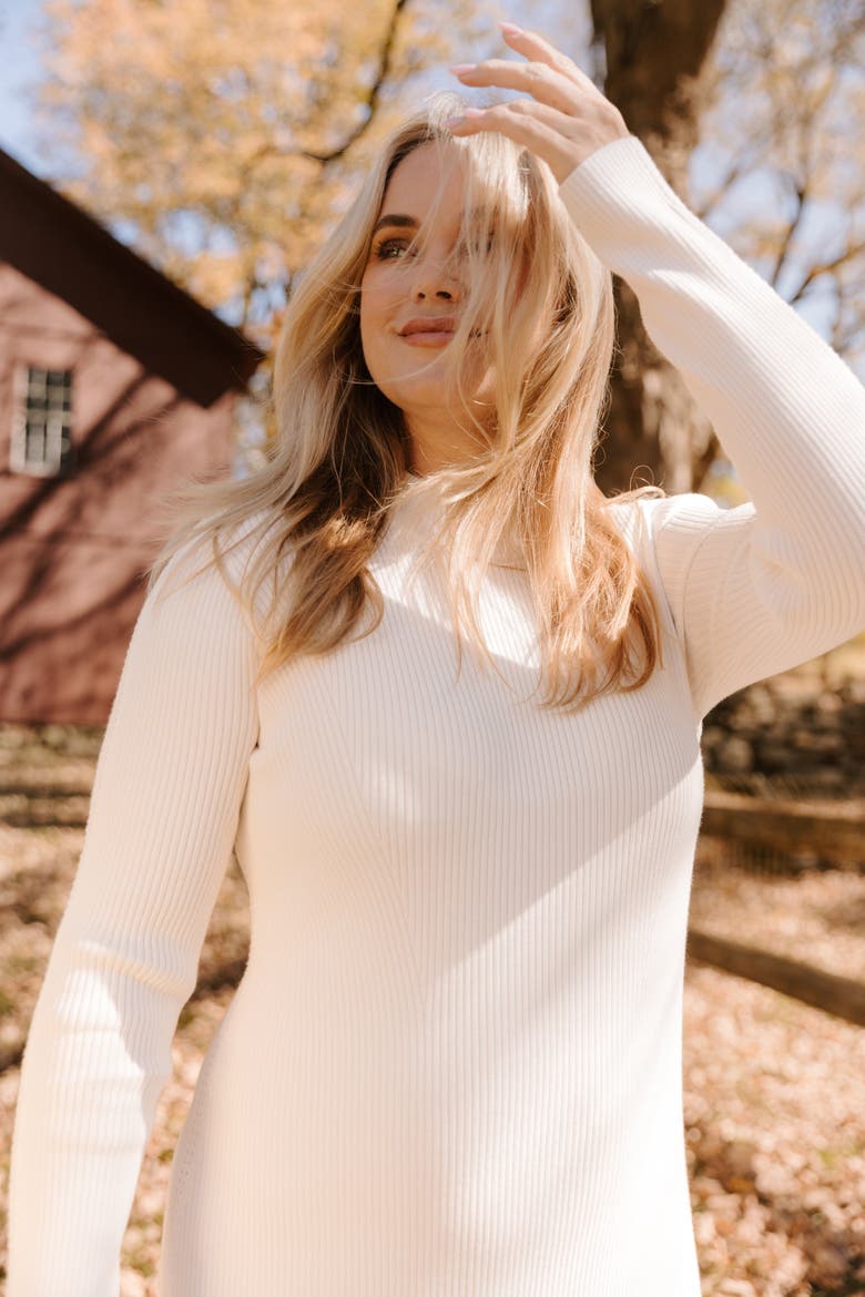 The Rib Sweater Midi Dress, Alternate, color, SALT