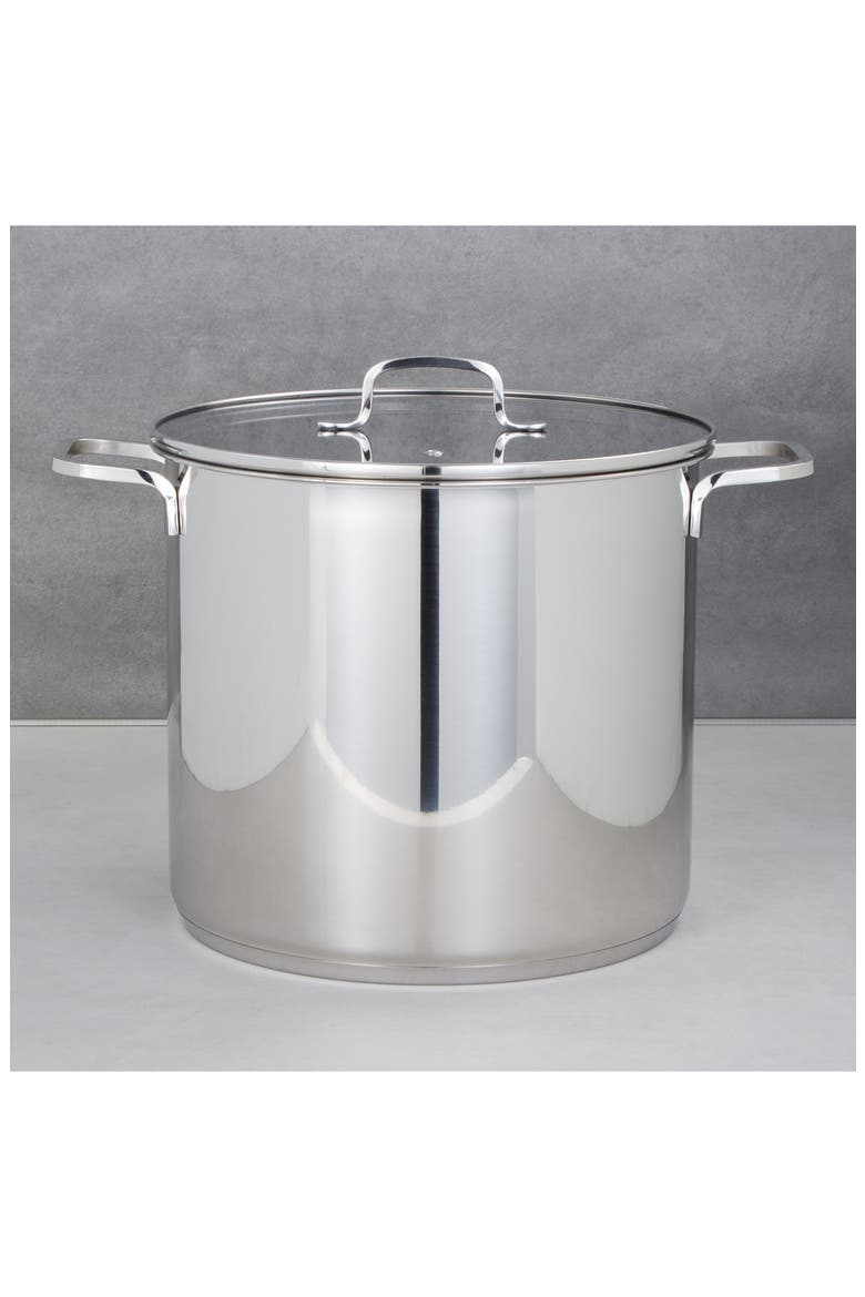 Dina Helix Stainless Steel Stock Pot, Alternate, color, SILVER