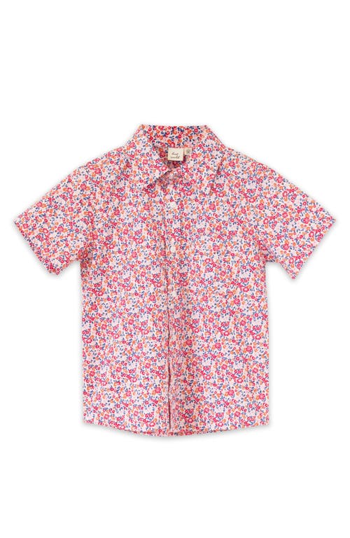 Beet World Boys Collar Shirt In Red And Blue