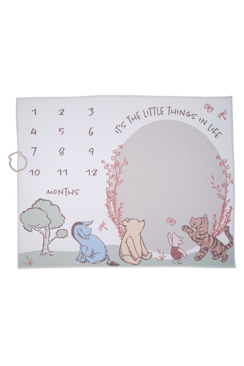 Disney Pooh Bear and Pals Photo Opp Milestone Fleece Baby Blanket, Alternate, color, White