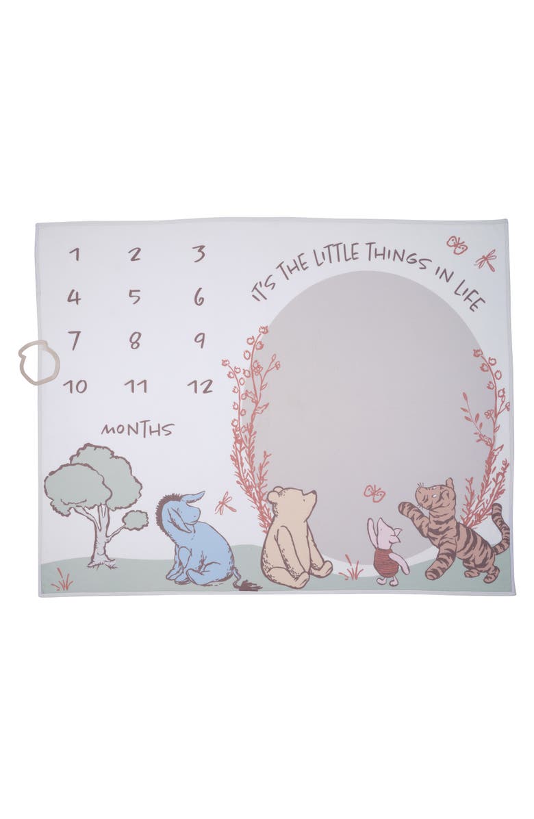 Lambs & Ivy Disney Pooh Bear and Pals Photo Opp Milestone Fleece Baby Blanket, Alternate, color, White