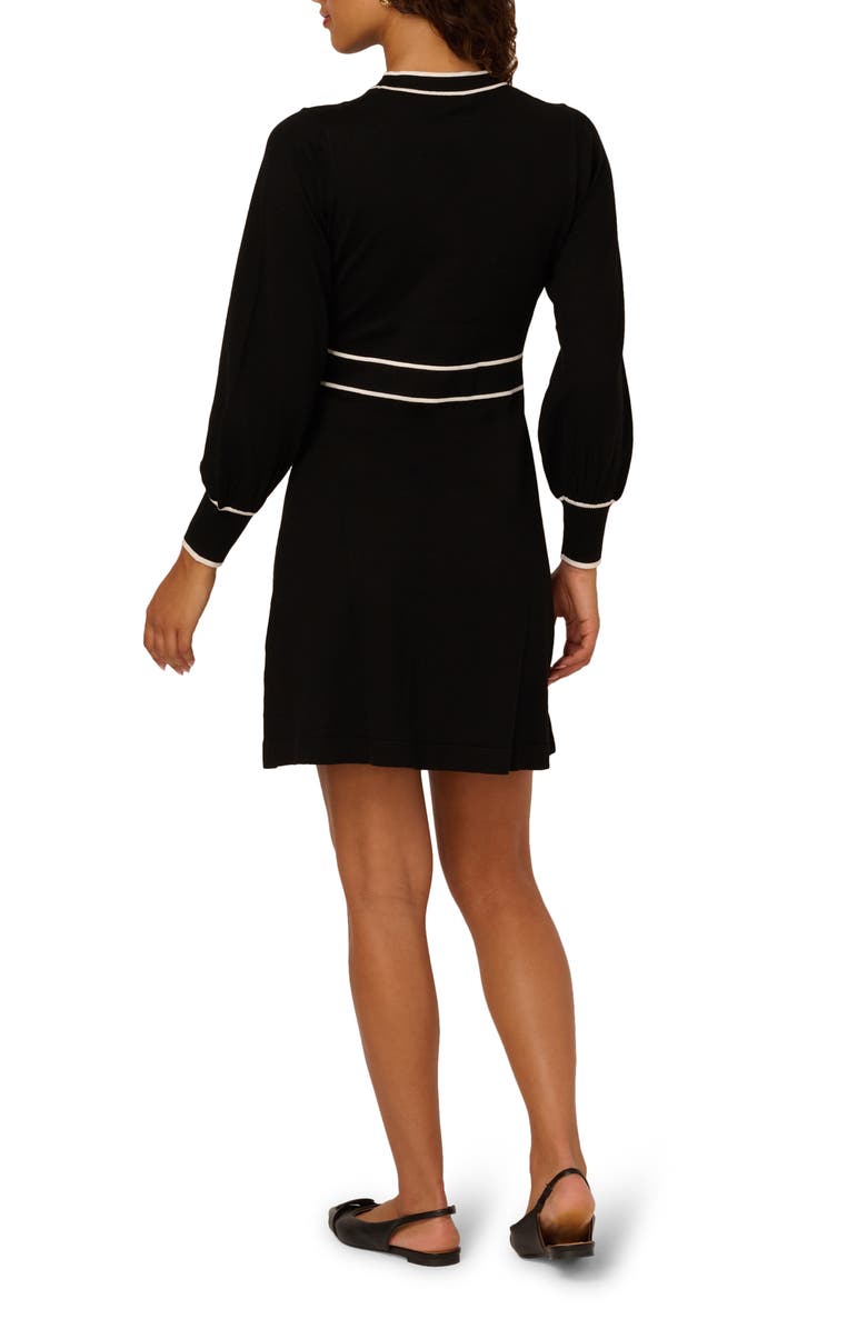 Adrianna Papell Tie Neck Long Sleeve Fit & Flare Sweater Dress, Alternate, color, Black/ Ivory