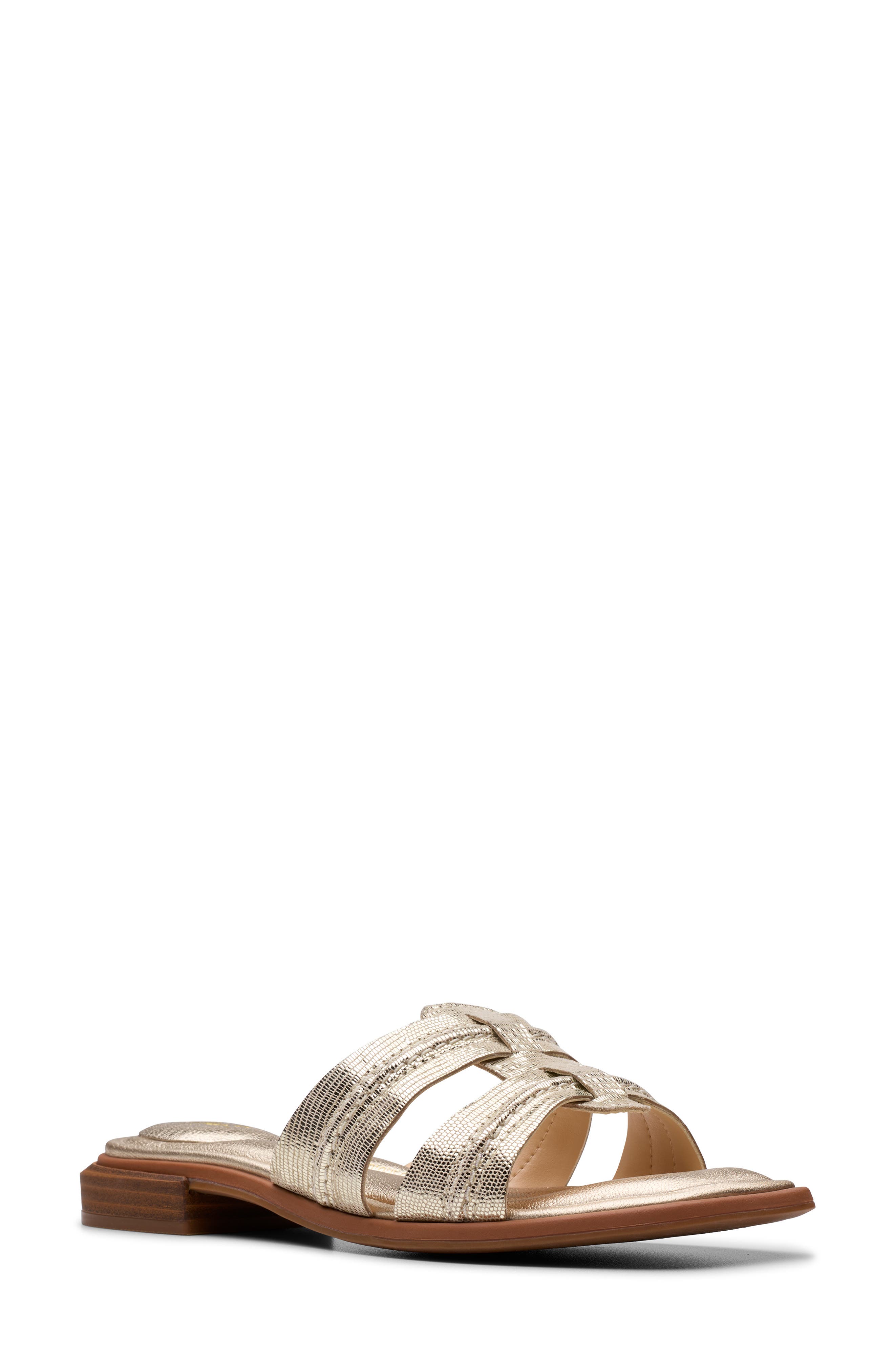 Ariany Mule - image 5