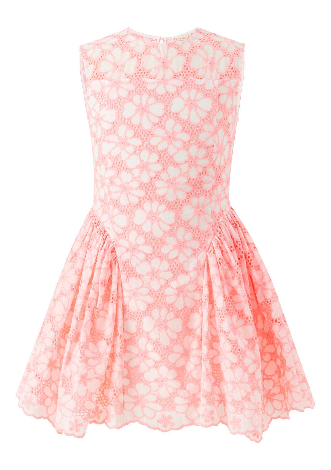 selected Coral