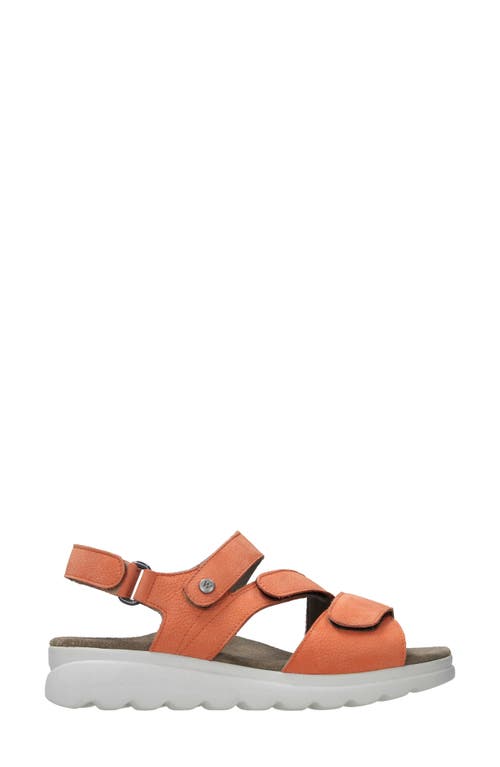 Wolky Ikaria Ankle Strap Platform Wedge Sandal In Light Orange Nubuck