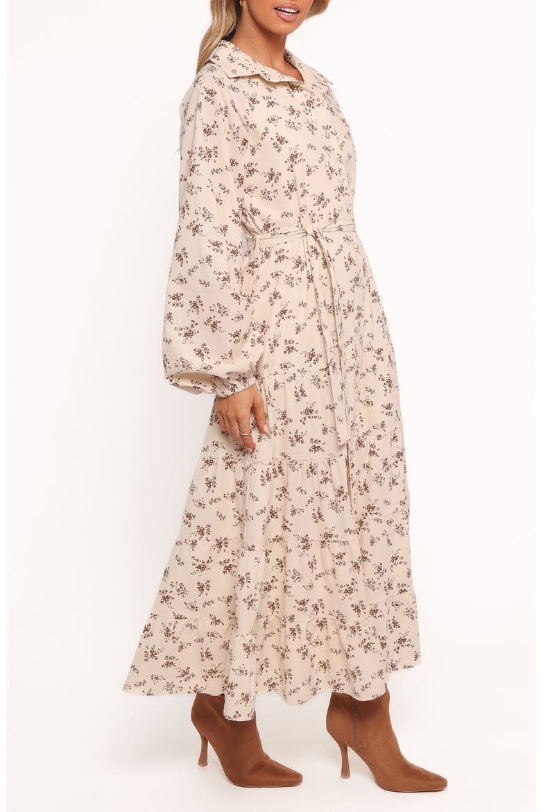 Lincoln Tie Waist Long Sleeve Maxi Dress, Alternate, color, FLORAL