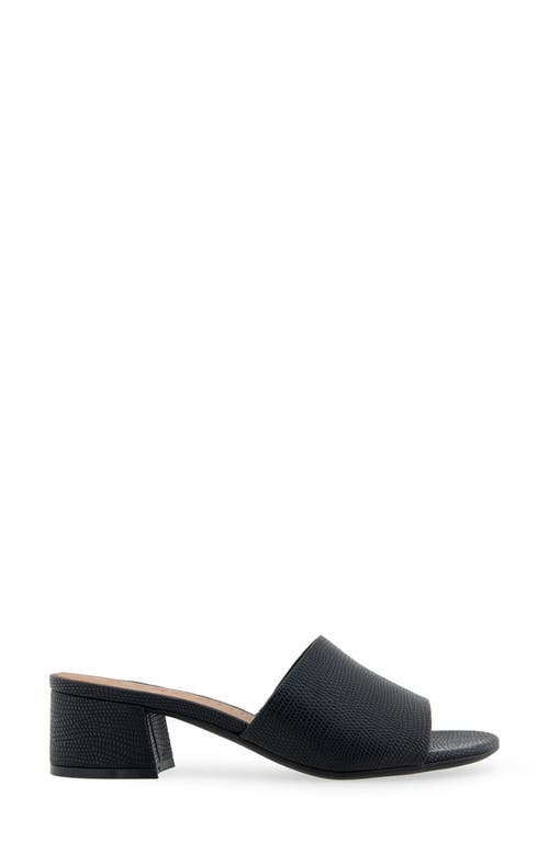 AEROSOLES AEROSOLES COMO SLIDE SANDAL 