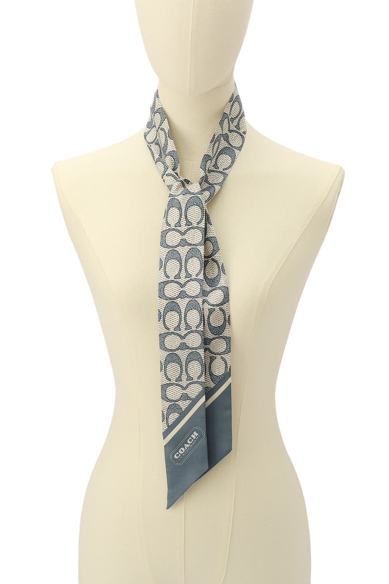 Textured Signature Print Silk Skinny Scarf, Alternate, color, LIGHT DENIM