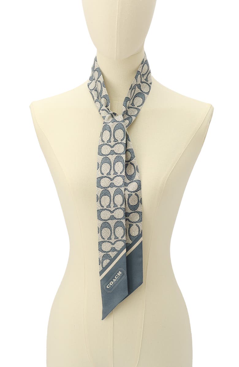 COACH Textured Signature Print Silk Skinny Scarf, Alternate, color, Light Denim