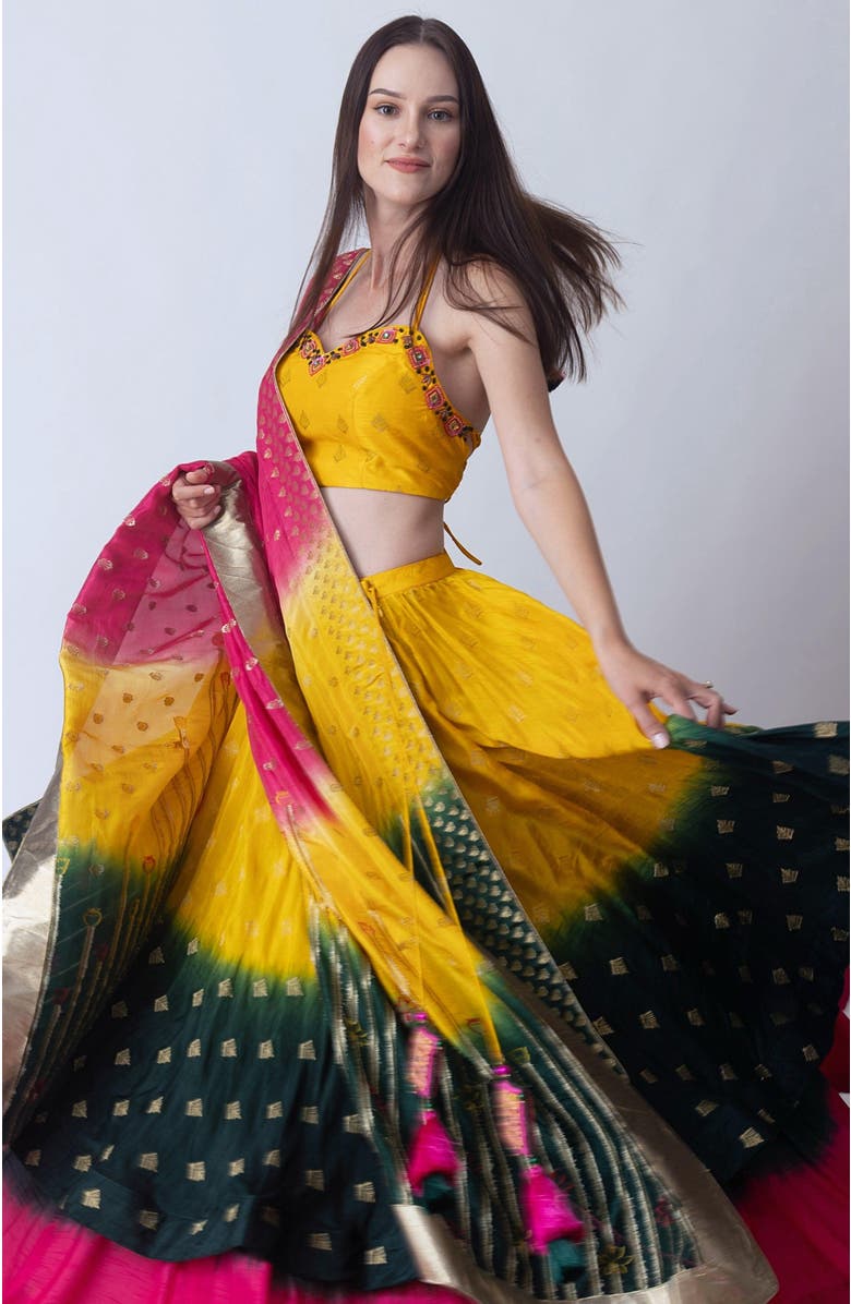 RAAS Adele Hand Tie Dye Layered Lehenga Choli, Alternate, color, 