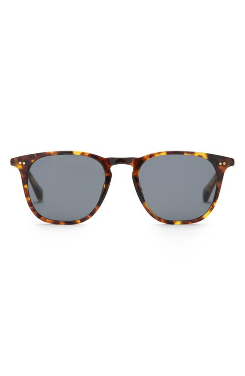 Diff Maxwell 49mm Polarized Round Lens Sunglasses In Multi