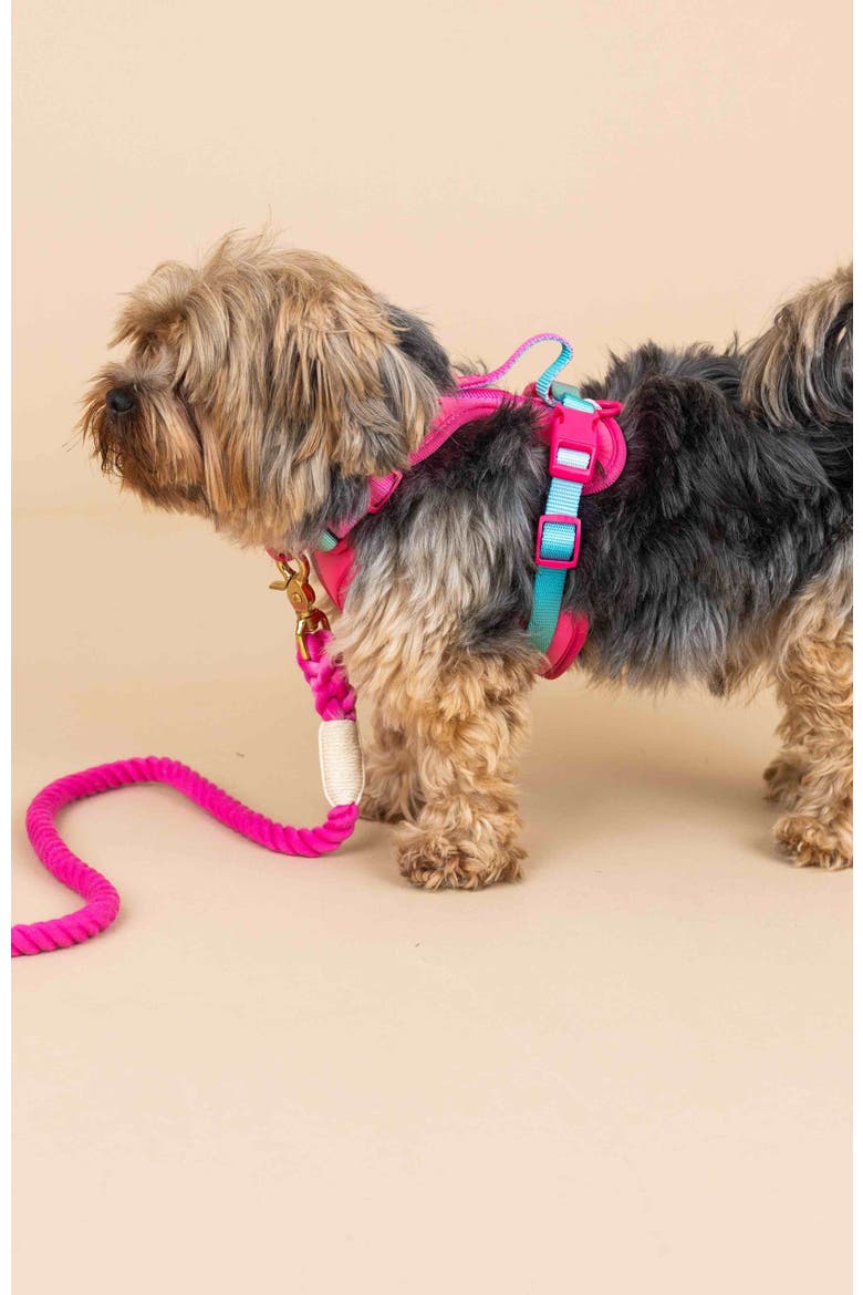Stasia Dog Harness, Alternate, color, Stasia