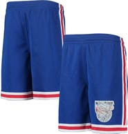 Mitchell & Ness Youth Mitchell & Ness Blue New Jersey Nets 1993 Hardwood Classics 75th Anniversary Swingman Shorts