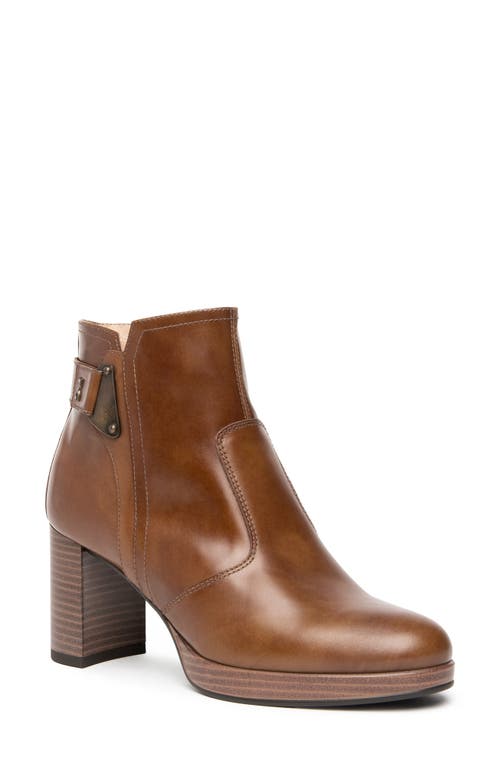 NeroGiardini Platform Bootie in Brown 