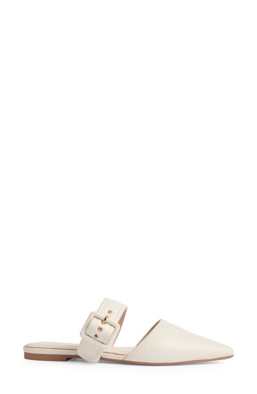Yosi Samra Valerie Pointed Toe Mule In Bone