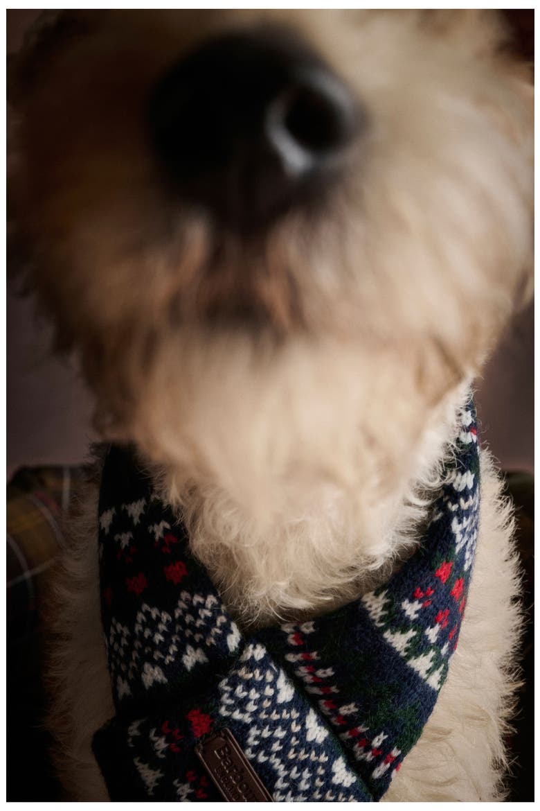Marlow Fair Isle Dog Scarf, Alternate, color, NAVY FESTIVE