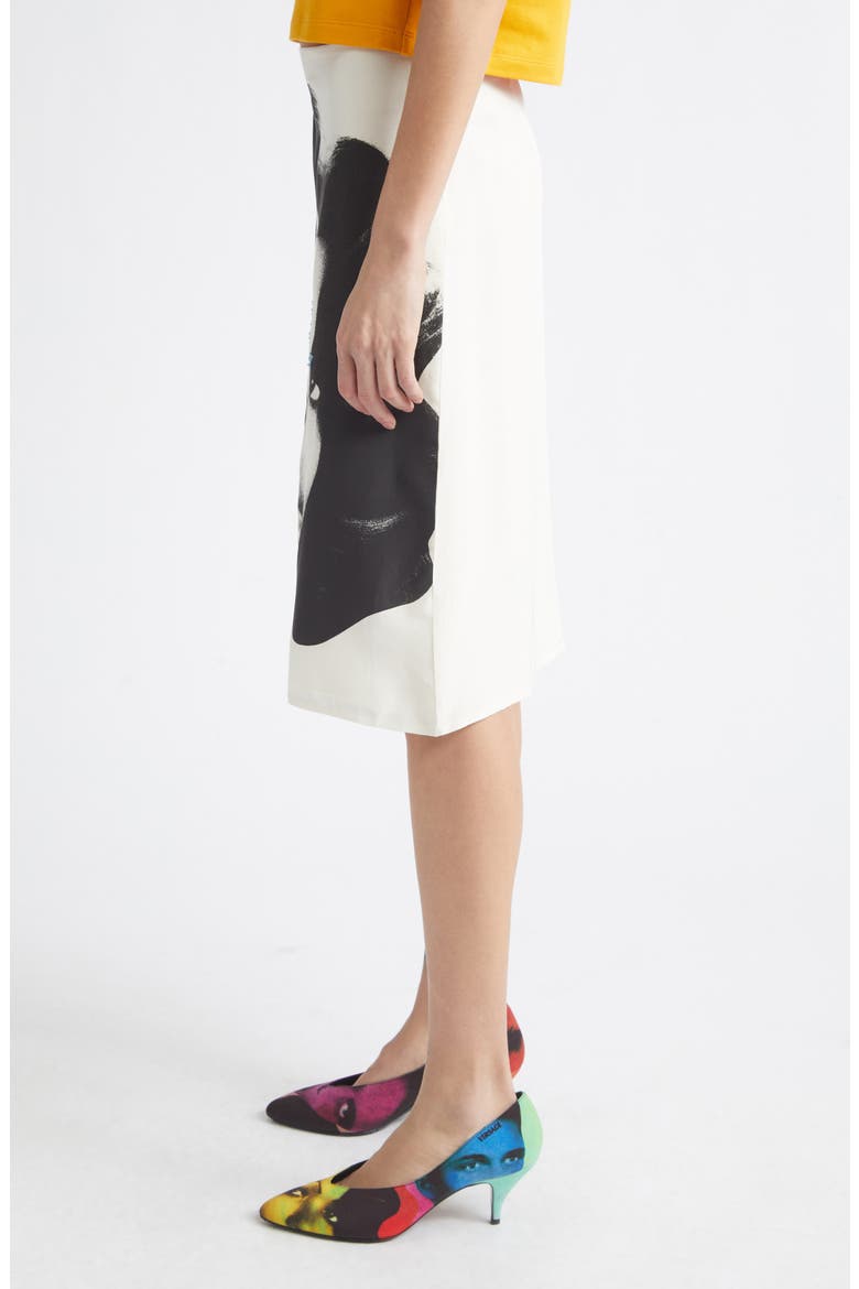 Print Silk Poplin Skirt, Alternate, color, WHITE BLACK LIGHT BLUE