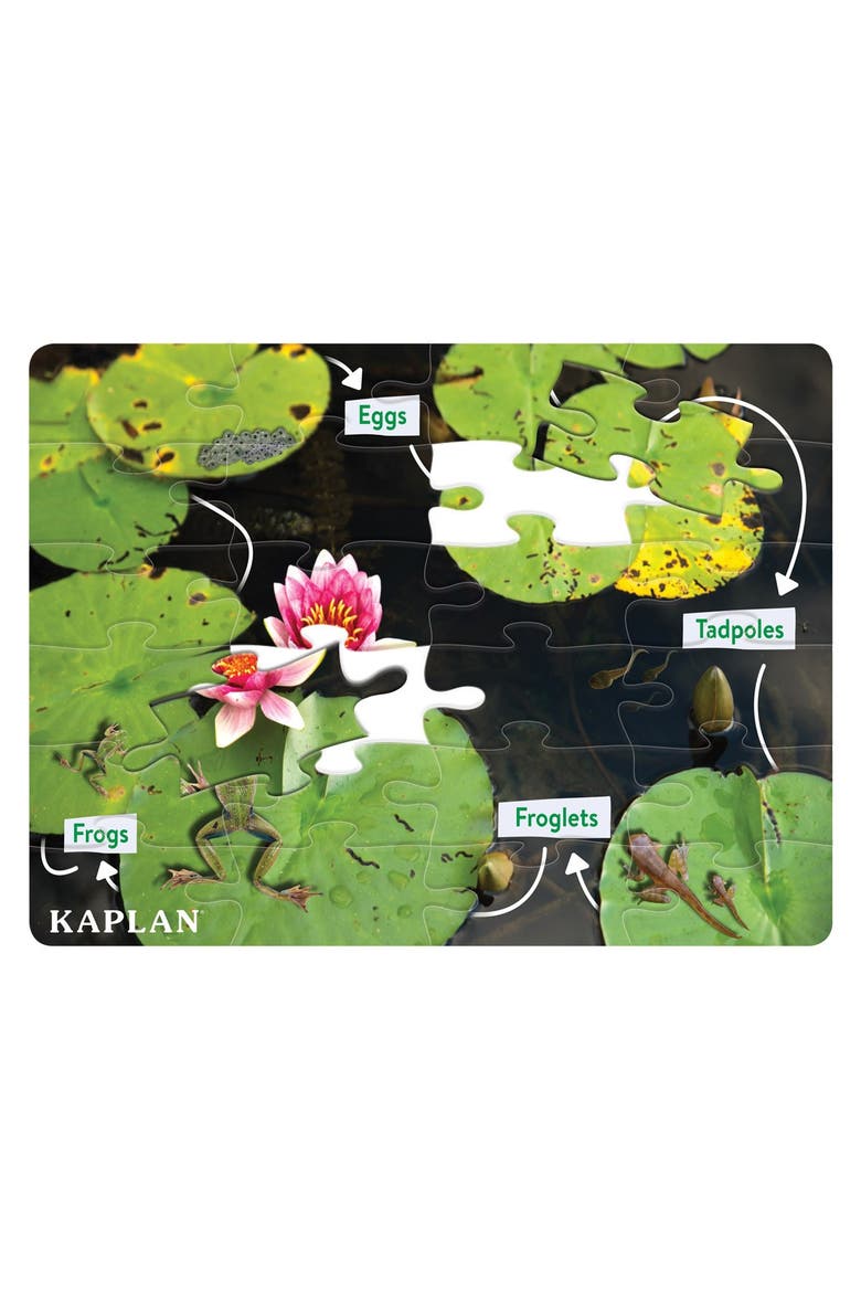 Frog Life Cycle Floor Puzzle from Egg to Frog - 24 Pieces, Main, color, Green