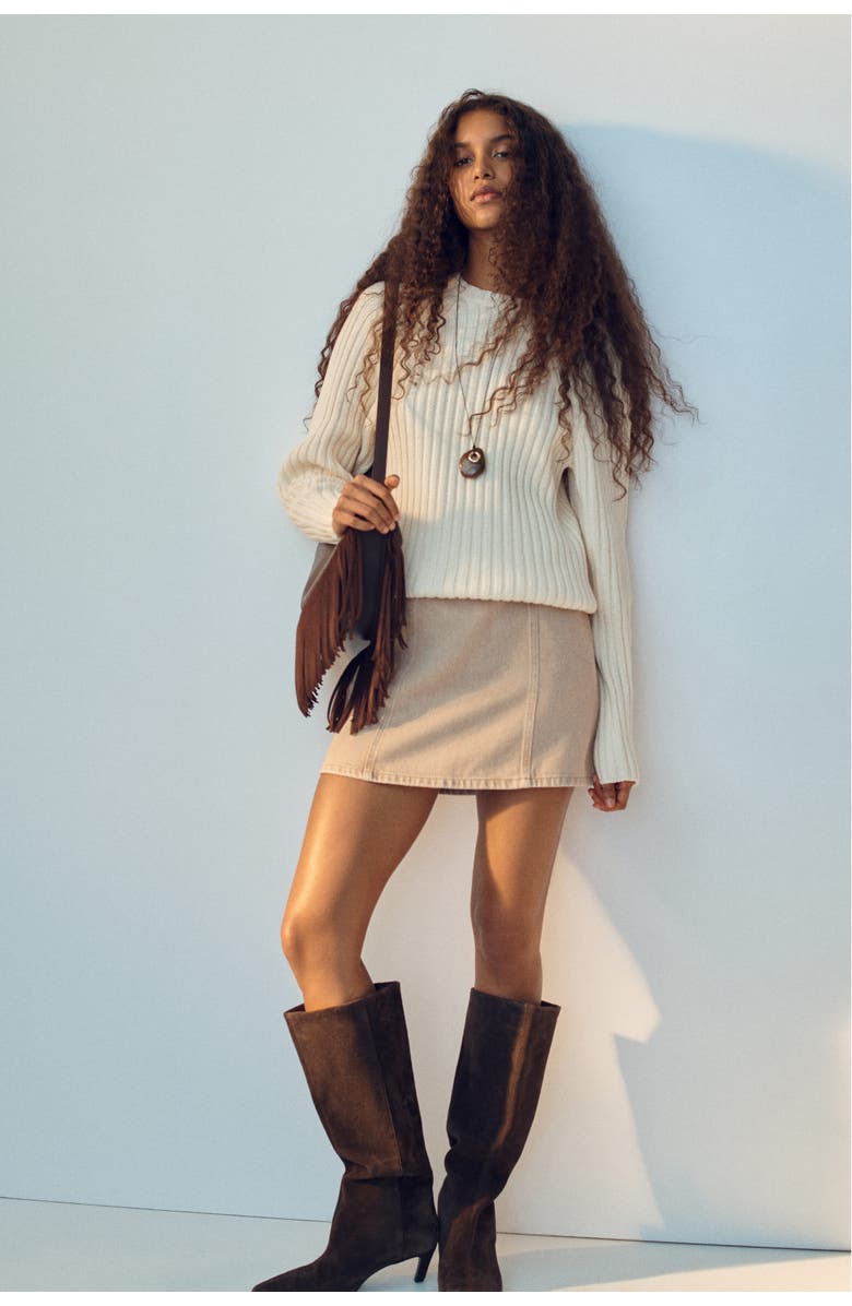 H&M A-line Mini Skirt, Alternate, color, 