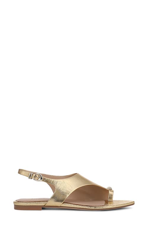 27 Edit Naturalizer Via Slingback Pointed Toe Sandal In Dark Gold