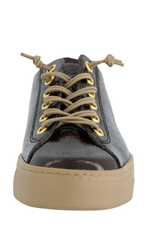 Paul Green Hadley Platform Sneaker In Brown