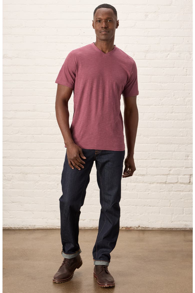 Organic Cotton Featherweight Slub V-Neck Tee, Alternate, color, Mauve