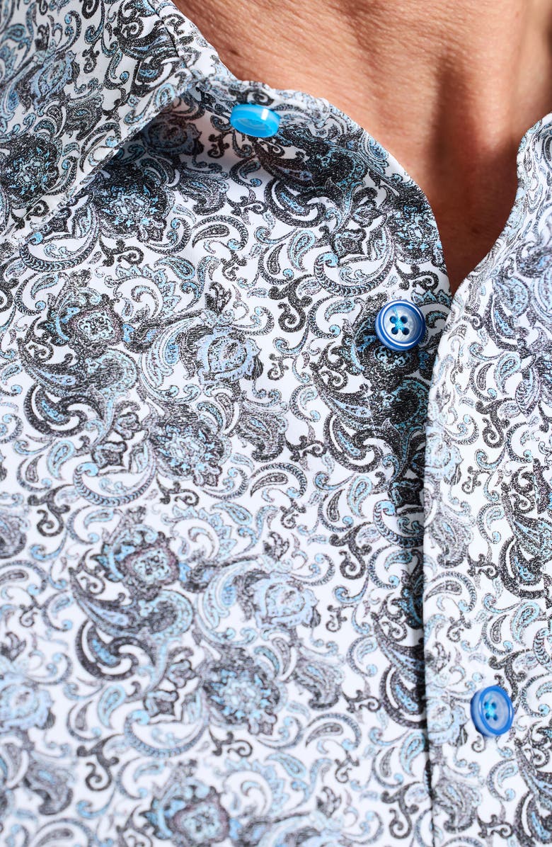 Robert Graham Fitzgerald Paisley Button-Up Shirt, Alternate, color, Multi