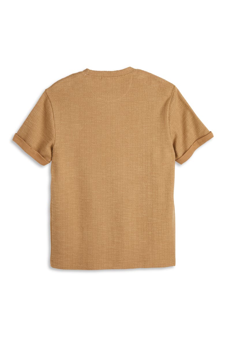 Textured Slub Knit T-Shirt, Alternate, color, TANNIN