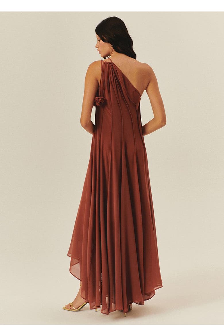 Paislee Maxi Dress, Alternate, color, BROWN