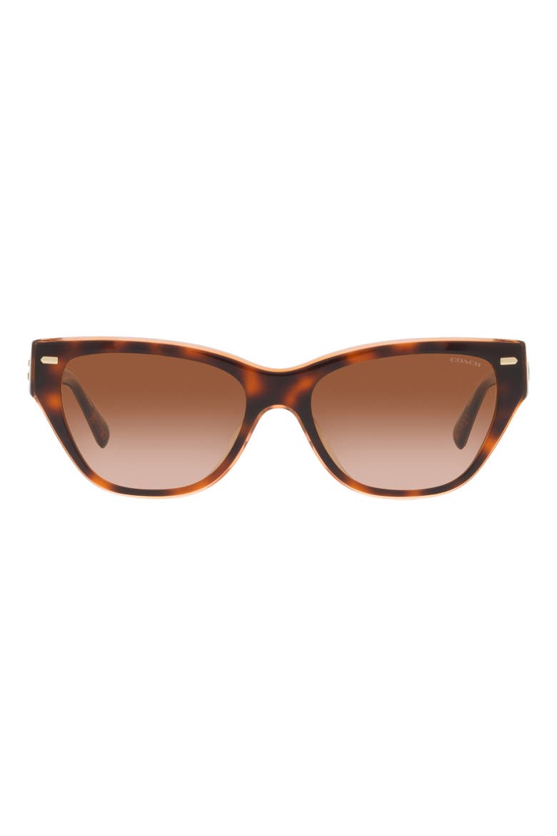 54mm Gradient Cat Eye Sunglasses, Main, color, TORTOISE