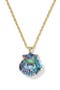  Gold Abalone Shell
