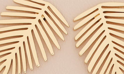 Panacea Set Of 3 Palm Leaf Stud Earrings In Gold
