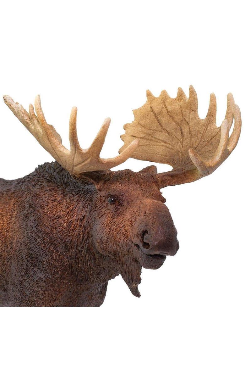 Moose Toy, Alternate, color, No Color