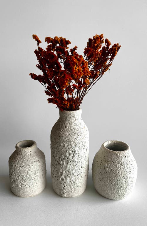 Gina Desantis Ceramics Tall Bottle Crater Vase In White