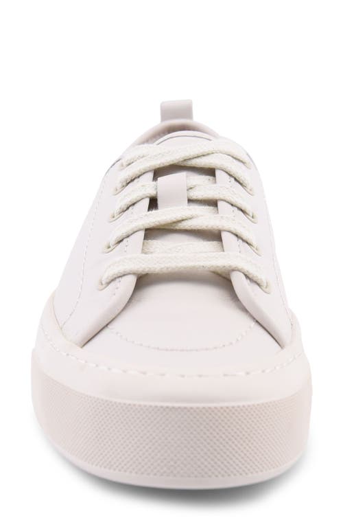 Sperry Top-sider® Sperry Candy Low Top Sneaker In Egret