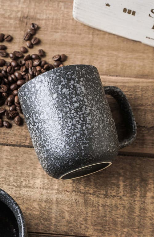 Stone Lain Tom Stoneware 4-piece Mug Set In Black