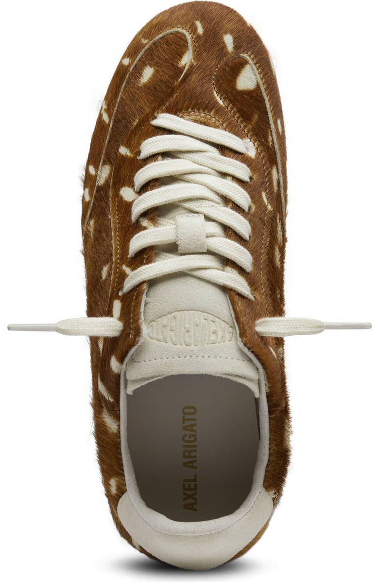 Axel Arigato Daze Pony Runner - Women's, Alternate, color, Brown/Off White