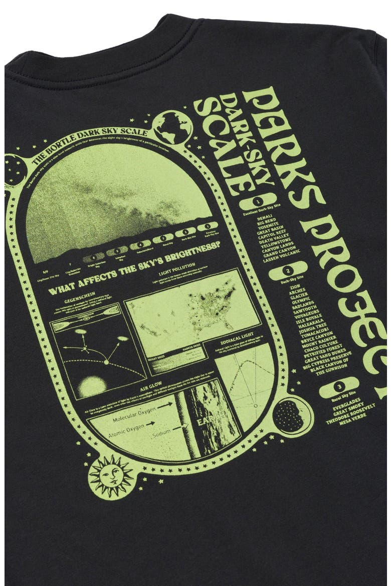 Dark Sky Scale Tee, Alternate, color, Vintage Black