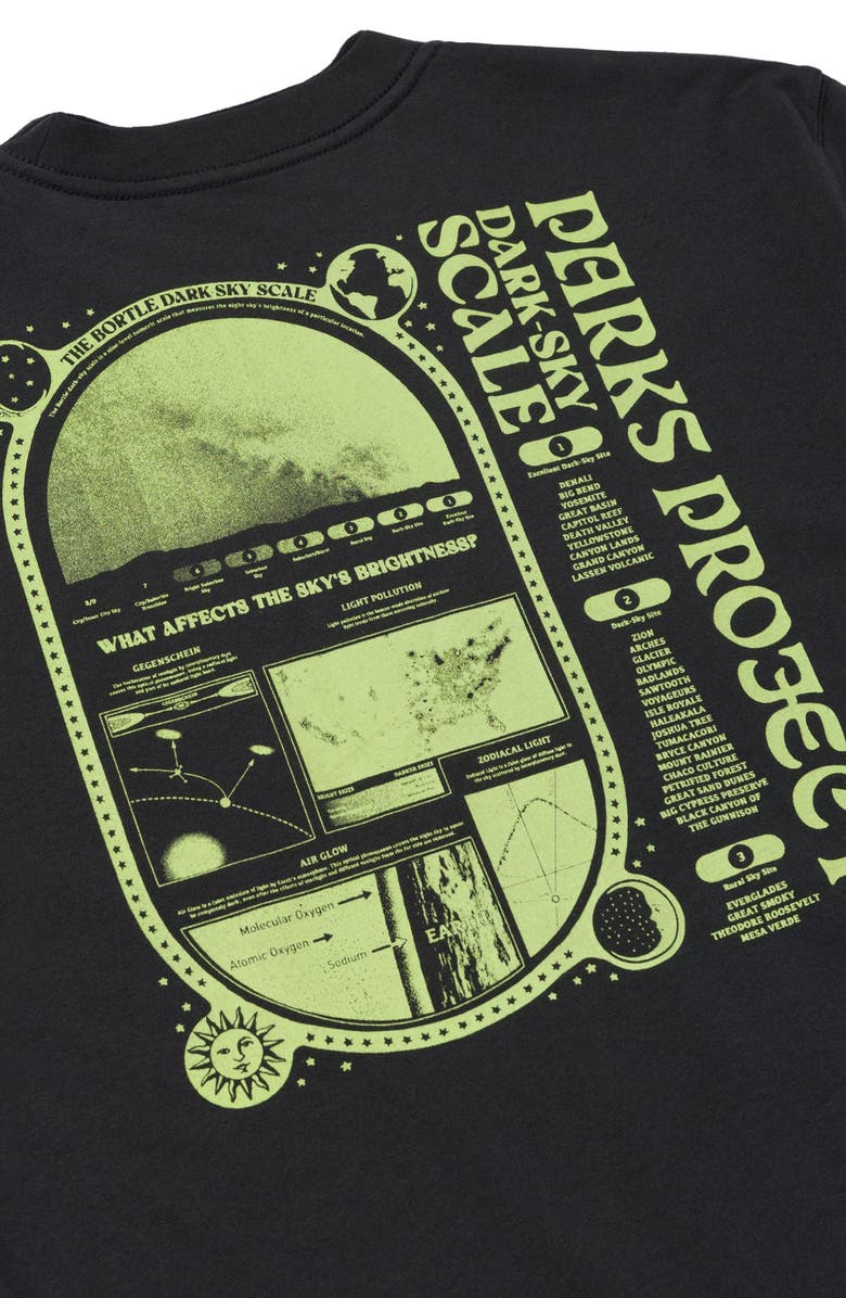 Parks Project Dark Sky Scale Tee, Alternate, color, Vintage Black