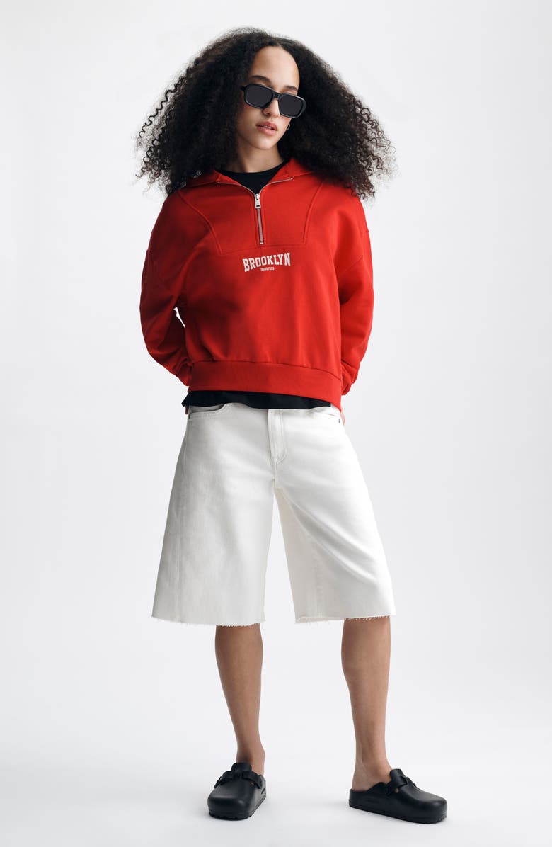 Brooklyn Industries Half Zip Graphic Hoodie, Alternate, color, Goji Berry