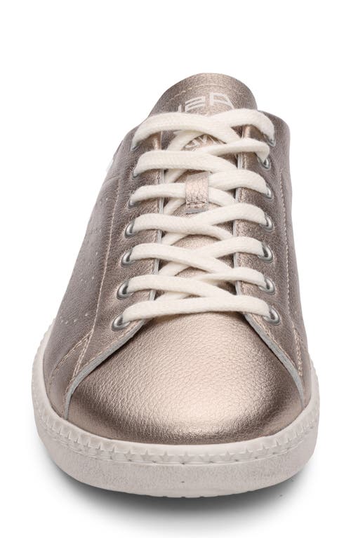 Ash Super Low Top Sneaker In Champagne