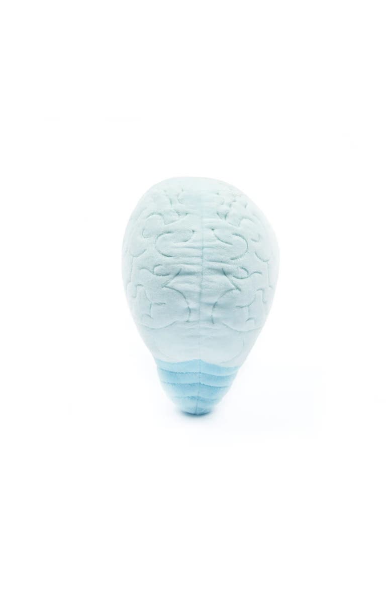 Brain Plush Organ, Alternate, color, Light/Pastel Blue