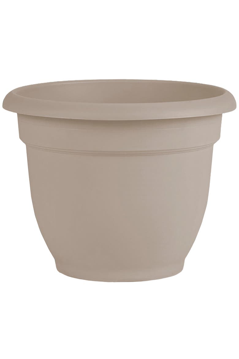 Dice pack (KS)-FR/EN, Main, color, Beige