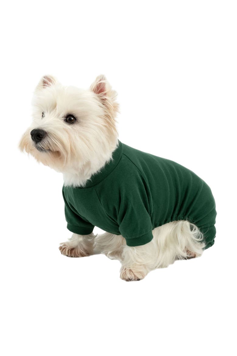 Dog Cotton Solid Matching Family Pajamas, Main, color, Uniform Green