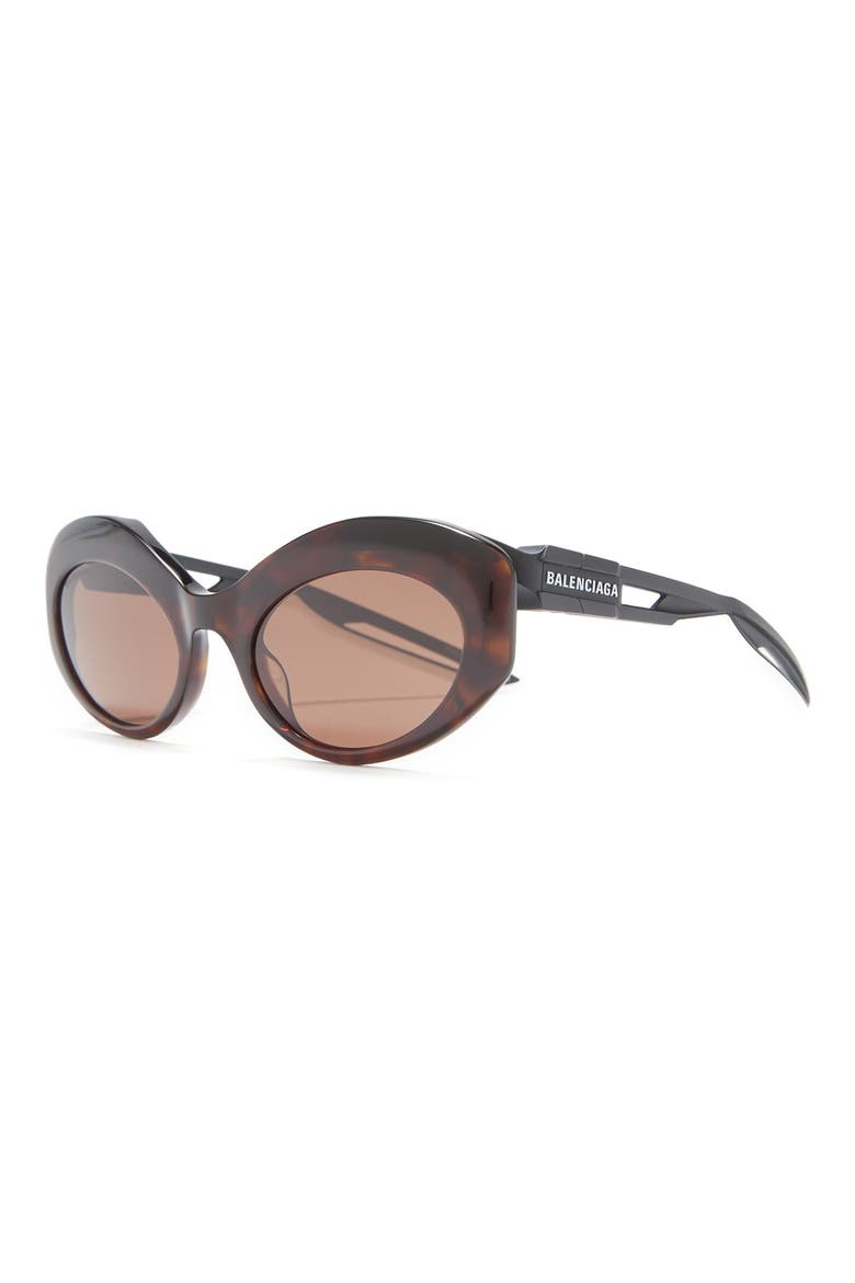 55mm Cat Eye Sunglasses, Alternate, color, HAVANA BLACK BROWN