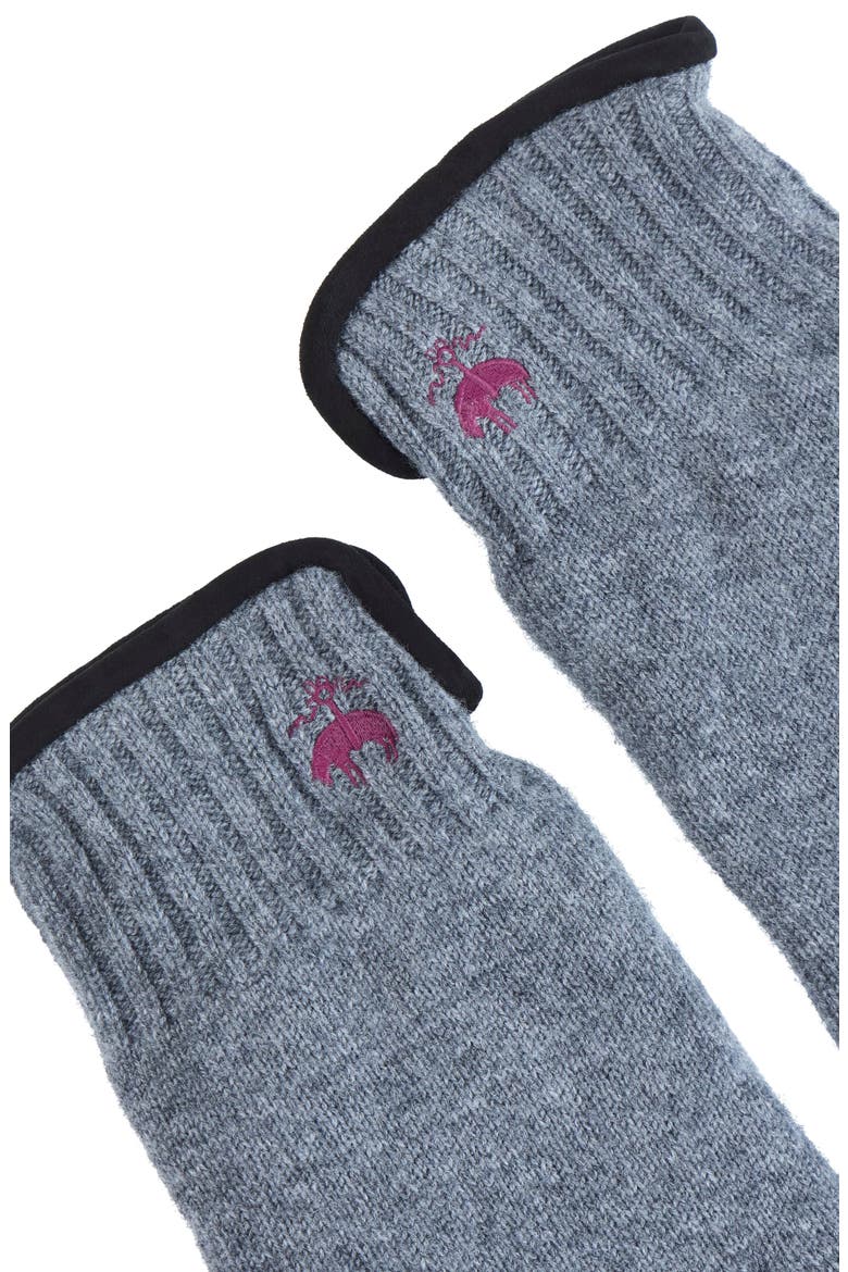 Cashmere Blend Suede Trim Gloves, Alternate, color, Charcoal