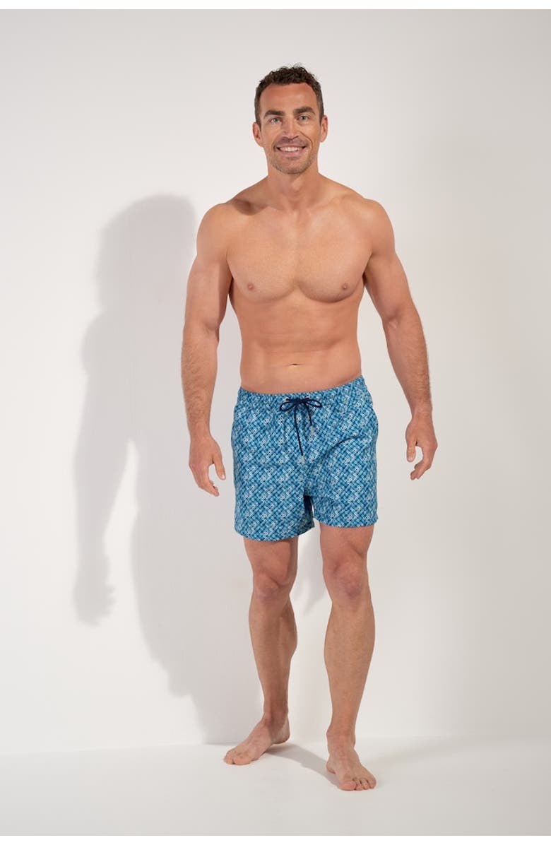 HOM Camaiore Beach Boxer, Alternate, color, Blue Print