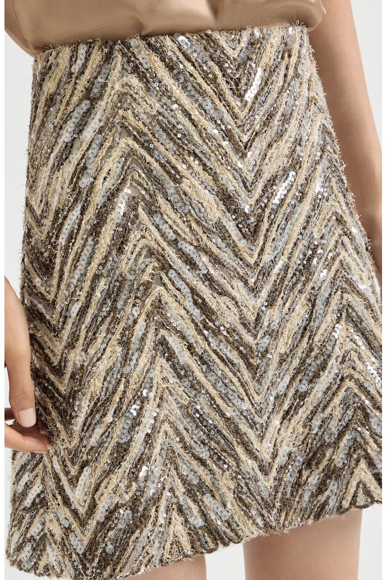 Dazzling chevron embroidery mini skirt, Alternate, color, Brown